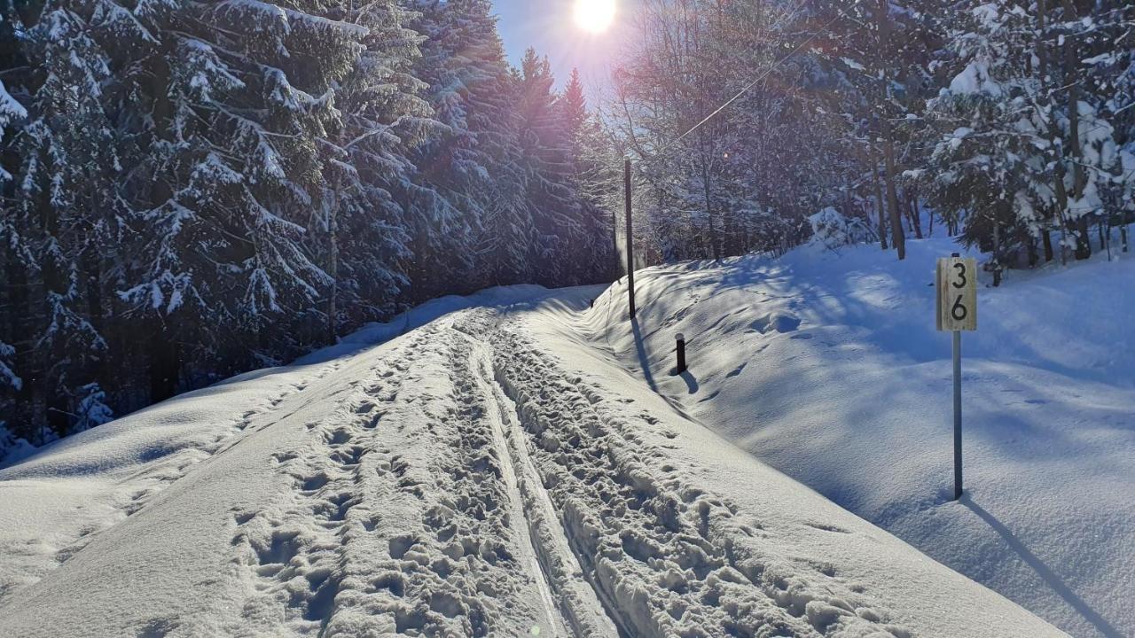 Waldhufenidyll Koenigswalde Im Erzgebirge Lejlighed Konigswalde Eksteriør billede